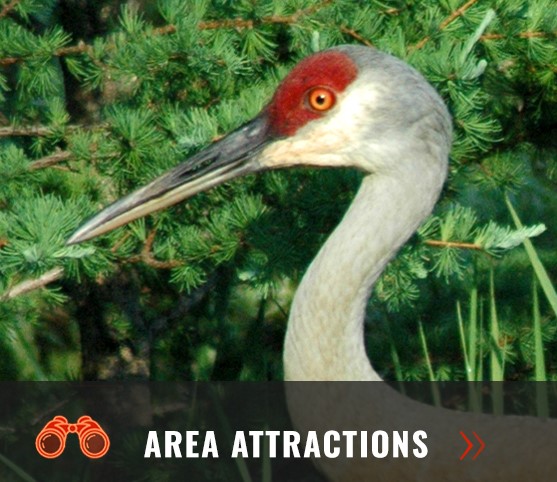 Curtis Michigan Attractions Attractions near Curtis Michigan